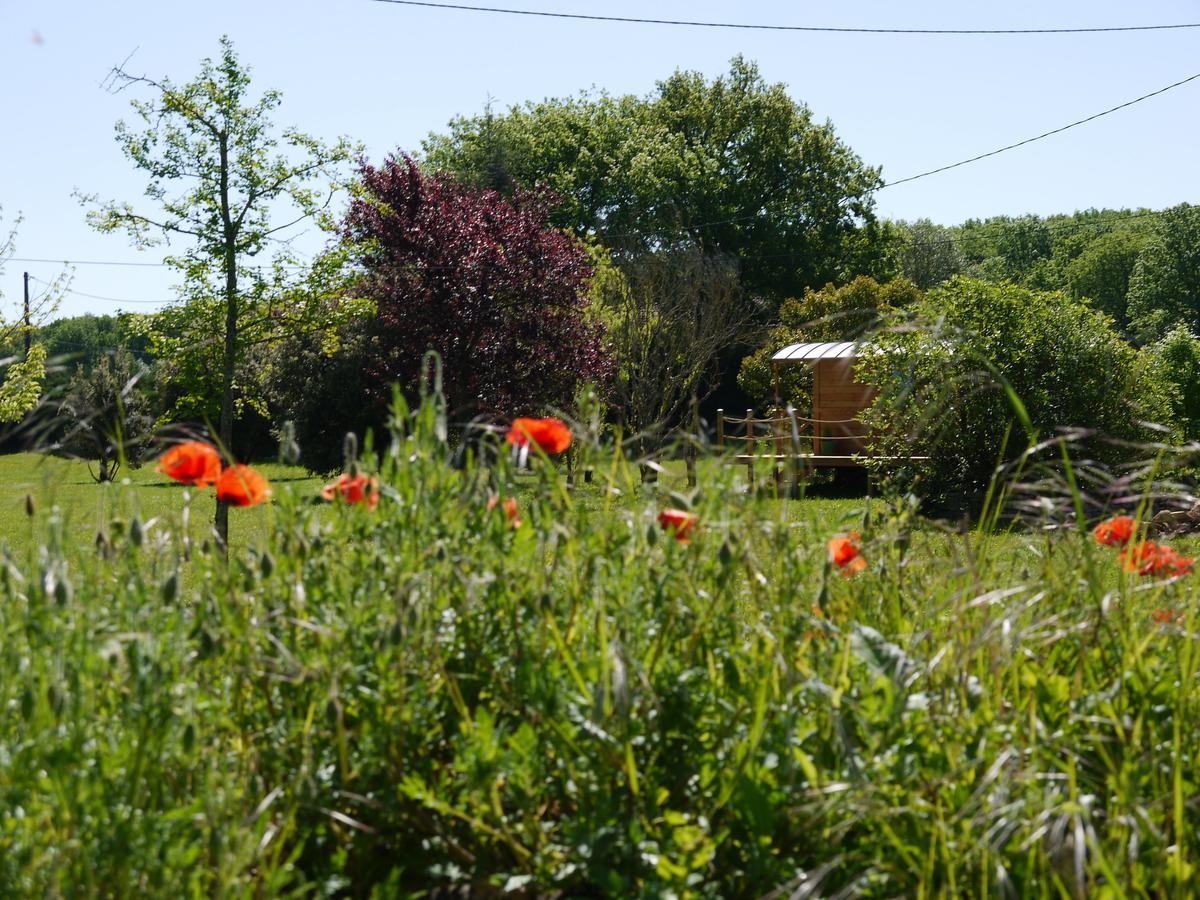 Coutillard Parisot  Bagian luar foto