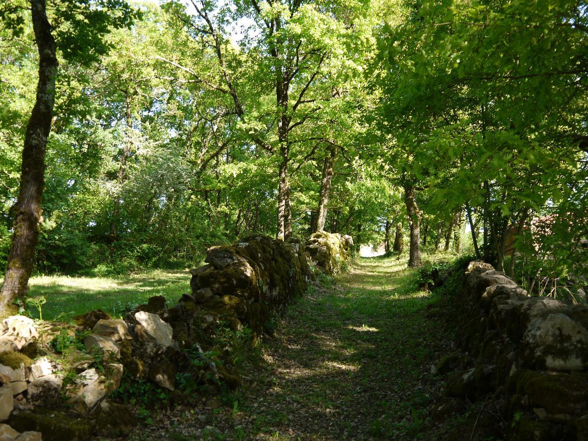 Coutillard Parisot  Bagian luar foto